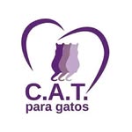 Logo Cat para Gatos